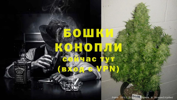 винт Пролетарск