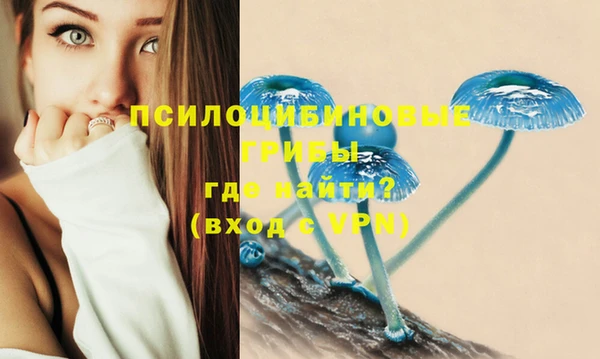 каннабис Арсеньев