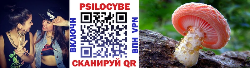 Псилоцибиновые грибы Magic Shrooms Углегорск